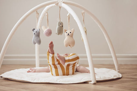 Babygym